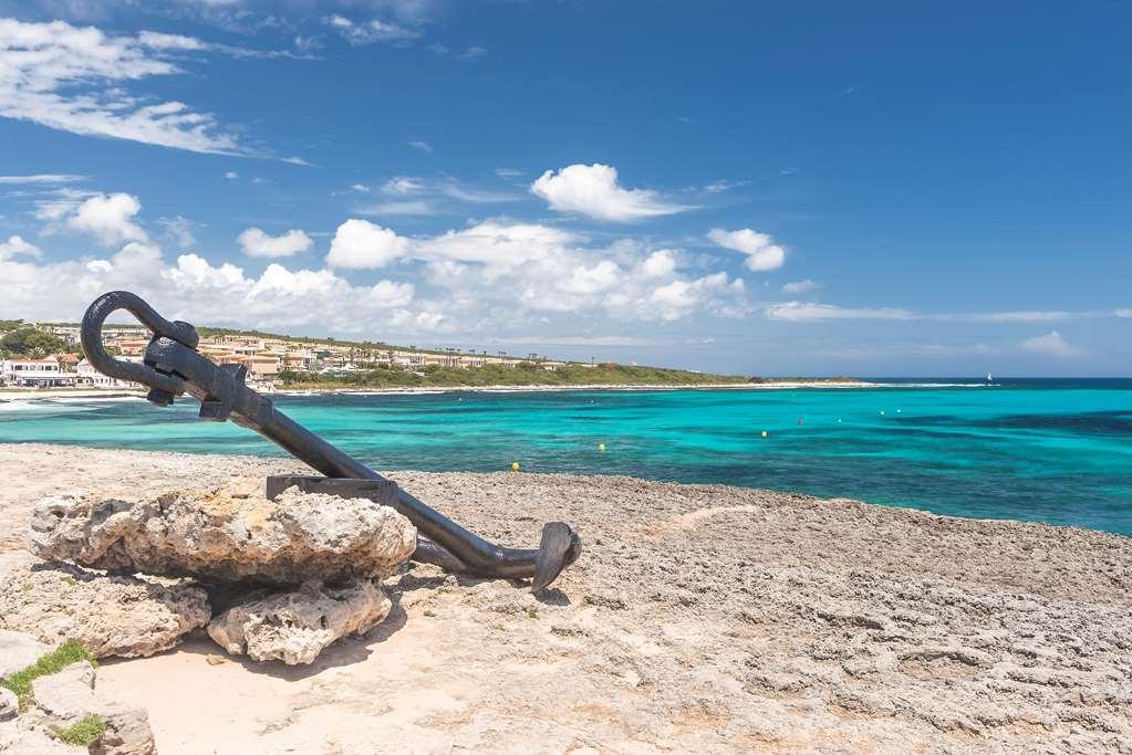 Occidental Menorca (Adults Only) Hotel Punta Prima  Natur billede